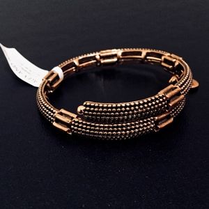 Alex and Ani Nova Rafaelian Gold Bangle Wrap
